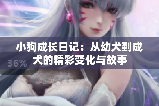 小狗成长日记：从幼犬到成犬的精彩变化与故事