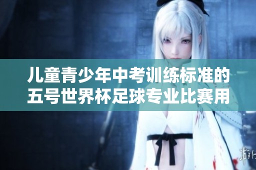 儿童青少年中考训练标准的五号世界杯足球专业比赛用球