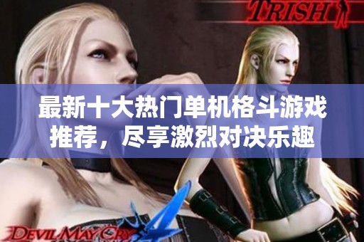 最新十大热门单机格斗游戏推荐，尽享激烈对决乐趣