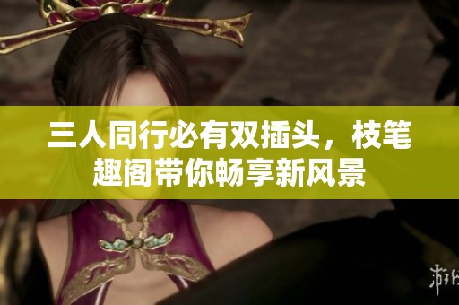 三人同行必有双插头，枝笔趣阁带你畅享新风景