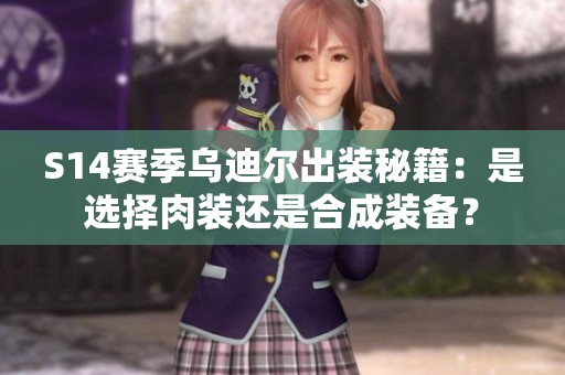 S14赛季乌迪尔出装秘籍：是选择肉装还是合成装备？