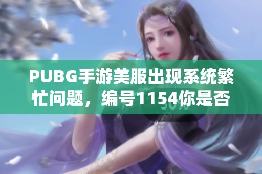 PUBG手游美服出现系统繁忙问题，编号1154你是否也遇到了？