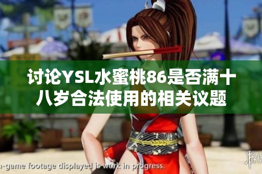 讨论YSL水蜜桃86是否满十八岁合法使用的相关议题
