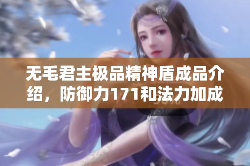 无毛君主极品精神盾成品介绍，防御力171和法力加成解析