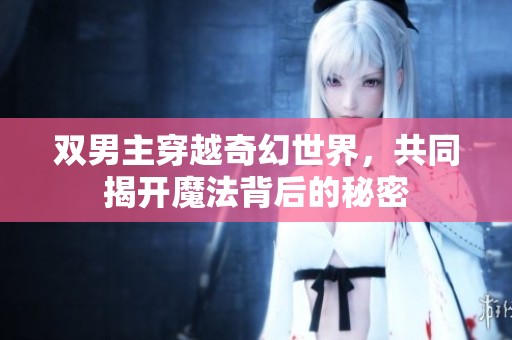 双男主穿越奇幻世界，共同揭开魔法背后的秘密