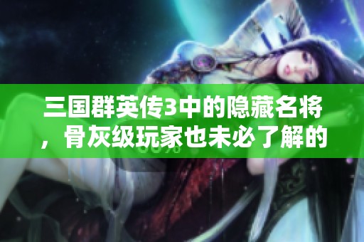三国群英传3中的隐藏名将，骨灰级玩家也未必了解的珍稀角色