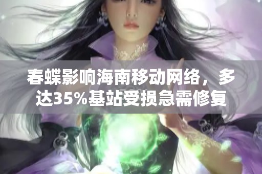 春蝶影响海南移动网络，多达35%基站受损急需修复
