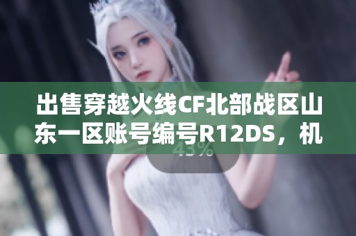 出售穿越火线CF北部战区山东一区账号编号R12DS，机会难得！