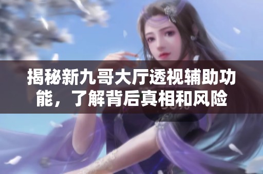 揭秘新九哥大厅透视辅助功能，了解背后真相和风险
