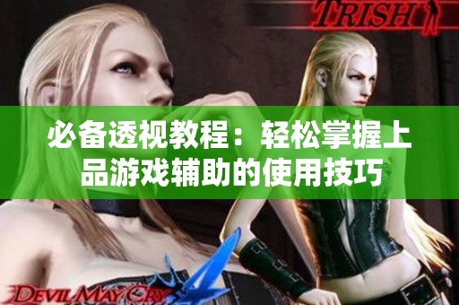 必备透视教程：轻松掌握上品游戏辅助的使用技巧