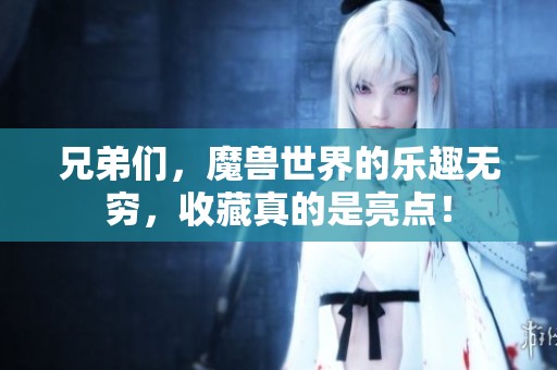 兄弟们，魔兽世界的乐趣无穷，收藏真的是亮点！