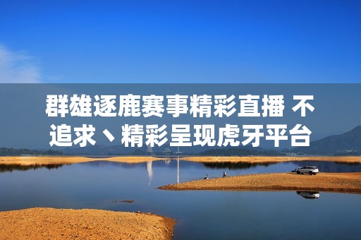 群雄逐鹿赛事精彩直播 不追求丶精彩呈现虎牙平台