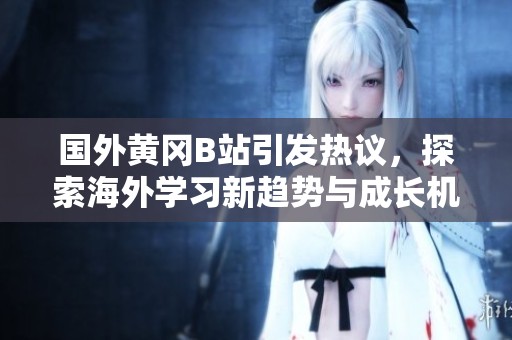 国外黄冈B站引发热议，探索海外学习新趋势与成长机遇