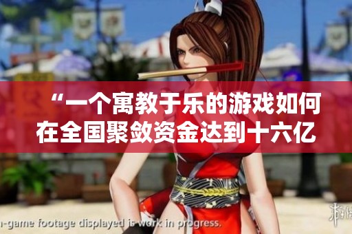 “一个寓教于乐的游戏如何在全国聚敛资金达到十六亿”