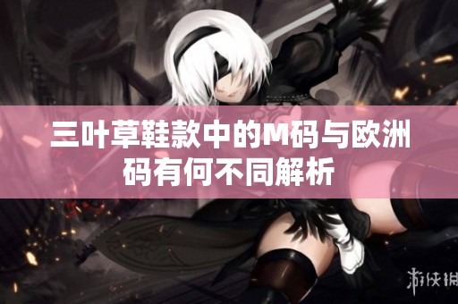 三叶草鞋款中的M码与欧洲码有何不同解析