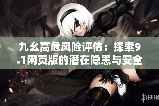 九幺高危风险评估：探索9.1网页版的潜在隐患与安全对策