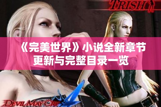 《完美世界》小说全新章节更新与完整目录一览