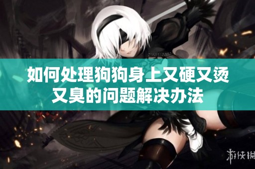 如何处理狗狗身上又硬又烫又臭的问题解决办法