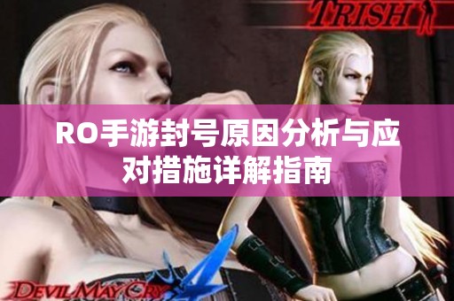 RO手游封号原因分析与应对措施详解指南