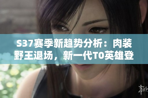 S37赛季新趋势分析：肉装野王退场，新一代T0英雄登场