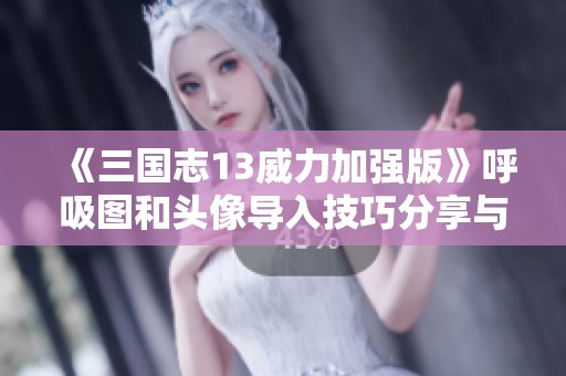 《三国志13威力加强版》呼吸图和头像导入技巧分享与心得解析
