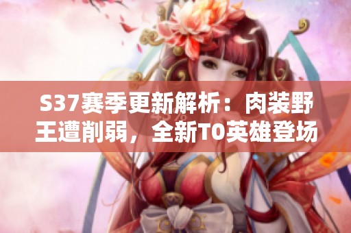 S37赛季更新解析：肉装野王遭削弱，全新T0英雄登场！