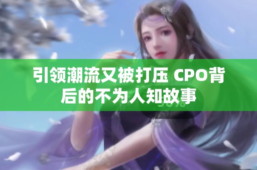 引领潮流又被打压 CPO背后的不为人知故事