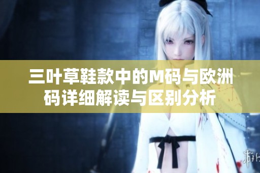 三叶草鞋款中的M码与欧洲码详细解读与区别分析