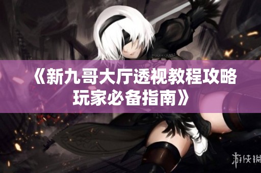 《新九哥大厅透视教程攻略玩家必备指南》
