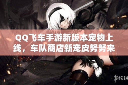 QQ飞车手游新版本宠物上线，车队商店新宠皮努努来袭