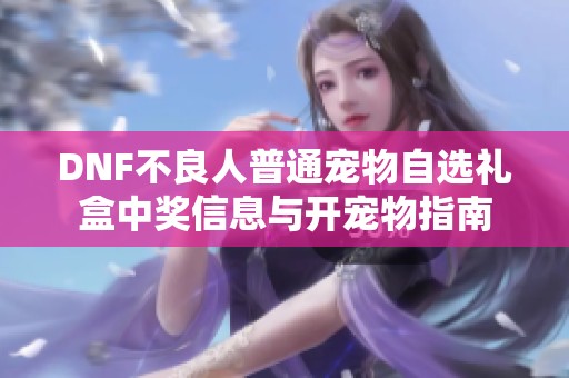DNF不良人普通宠物自选礼盒中奖信息与开宠物指南