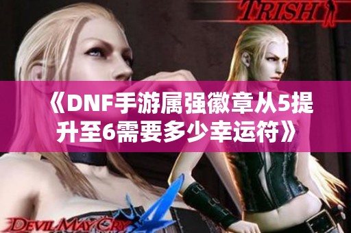 《DNF手游属强徽章从5提升至6需要多少幸运符》