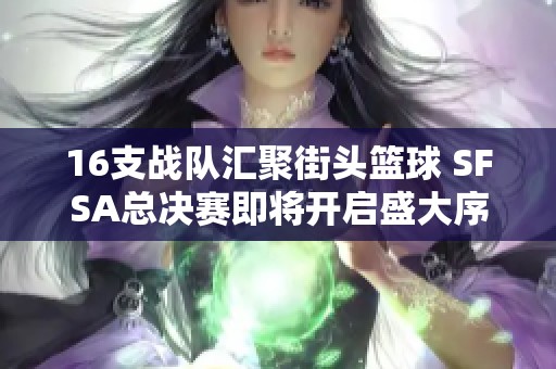 16支战队汇聚街头篮球 SFSA总决赛即将开启盛大序幕