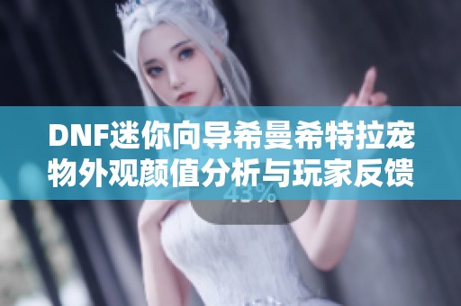 DNF迷你向导希曼希特拉宠物外观颜值分析与玩家反馈