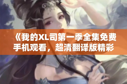 《我的XL司第一季全集免费手机观看，超清翻译版精彩上线》