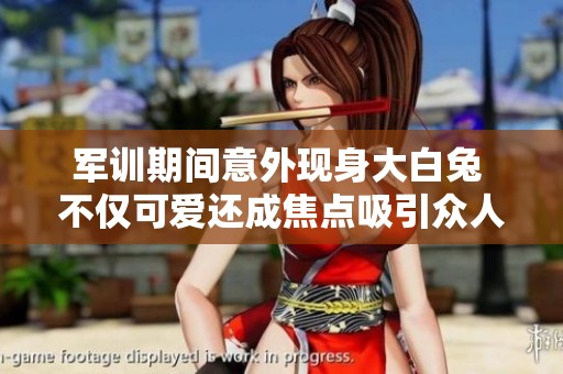 军训期间意外现身大白兔 不仅可爱还成焦点吸引众人围观