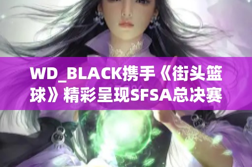 WD_BLACK携手《街头篮球》精彩呈现SFSA总决赛盛况