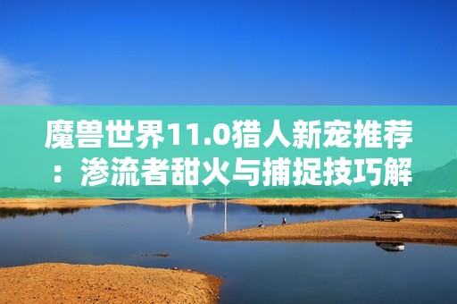 魔兽世界11.0猎人新宠推荐：渗流者甜火与捕捉技巧解析