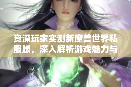 资深玩家实测新魔兽世界私服版，深入解析游戏魅力与亮点