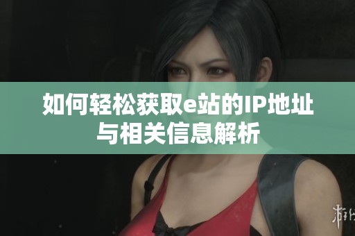 如何轻松获取e站的IP地址与相关信息解析