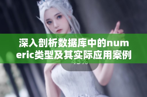 深入剖析数据库中的numeric类型及其实际应用案例