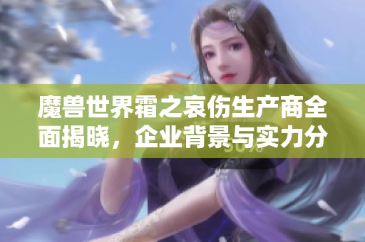 魔兽世界霜之哀伤生产商全面揭晓，企业背景与实力分析