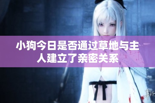 小狗今日是否通过草地与主人建立了亲密关系