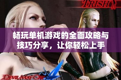 畅玩单机游戏的全面攻略与技巧分享，让你轻松上手