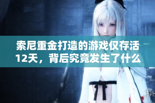 索尼重金打造的游戏仅存活12天，背后究竟发生了什么？