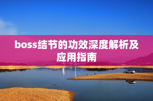 boss结节的功效深度解析及应用指南