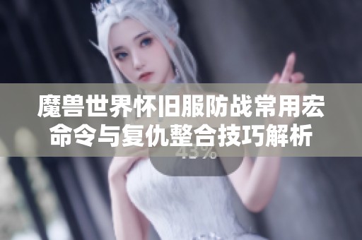 魔兽世界怀旧服防战常用宏命令与复仇整合技巧解析