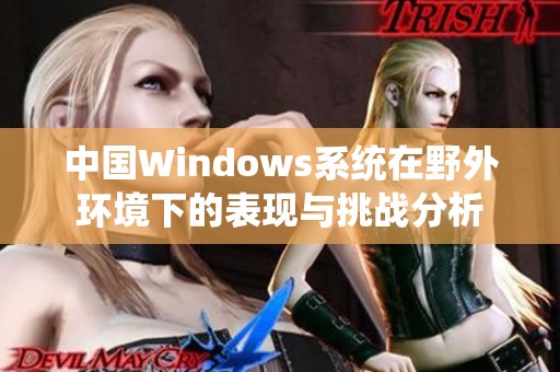 中国Windows系统在野外环境下的表现与挑战分析