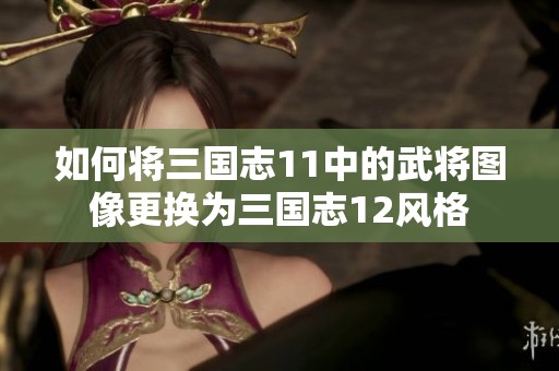 如何将三国志11中的武将图像更换为三国志12风格