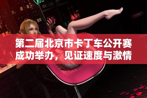 第二届北京市卡丁车公开赛成功举办，见证速度与激情的巅峰比拼